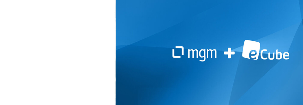 Gemeinsam stärker im Digital Commerce – eCube wird Teil von mgm