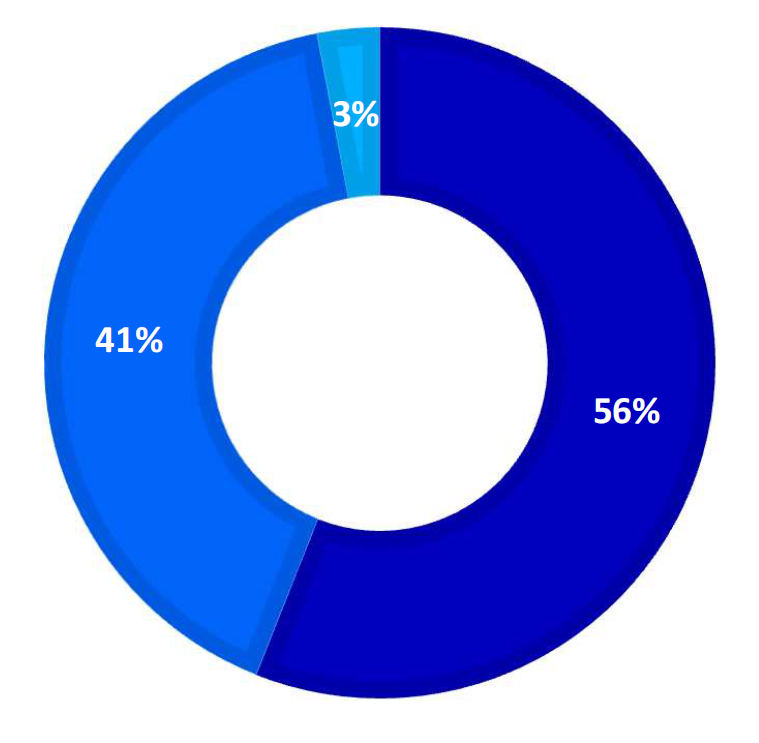 Diagramm Aktionärsstruktur