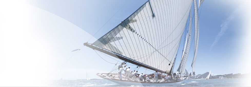 Allgeier achieves its 2025 earnings guidance